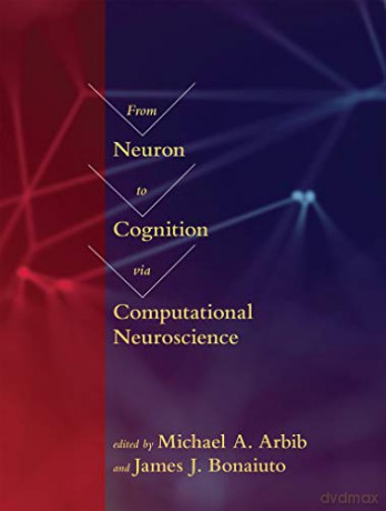 From Neuron to Cognition via Computational Neuroscience (My Adorable) (Computational Neuroscience Series) - Jonathan Rubin [KSIĄŻKA]