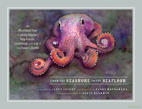 From the Seashore to the Seafloor: An Illustrated Tour of Sandy Beaches, Kelp Forests, Coral Reefs, and Life in the Ocean's Depths - Janet Voight [KSIĄŻKA]