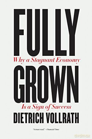 Fully Grown: Why a Stagnant Economy Is a Sign of Success - Dietrich Vollrath [KSIĄŻKA]