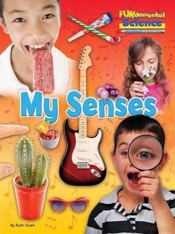 Fundamental Science Key Stage 1: My Senses 2016 (Fundamental Science Ks1) - Ruth Owen [KSIĄŻKA]