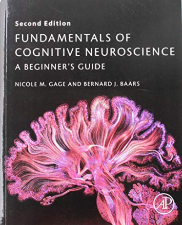 Fundamentals of Cognitive Neuroscience: A Beginner's Guide - Nicole M. Gage [KSIĄŻKA]