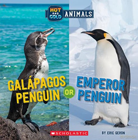Galapagos Penguin or Emperor Penguin (Hot and Cold Animals): Or, Galapagos Penguin - Eric Geron [KSIĄŻKA]