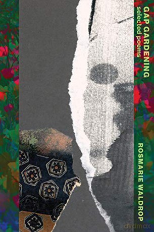 Gap Gardening: Selected Poems - Rosmarie Waldrop [KSIĄŻKA]