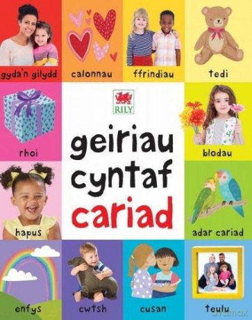 Geiriau Cyntaf Cariad - Priddy books [KSIĄŻKA]