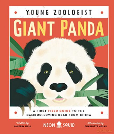 Giant Panda (Young Zoologist): A First Field Guide to the Bamboo-Loving Bear from China (UK Edition) - Neon Squid [KSIĄŻKA]