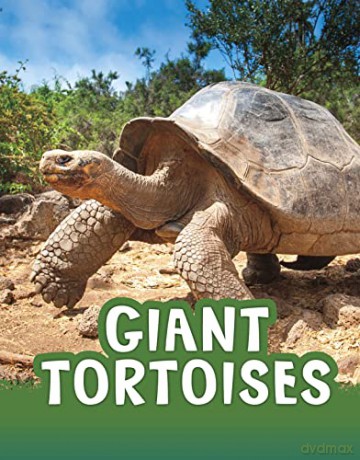 Giant Tortoises (Animals) - Jaclyn Jaycox [KSIĄŻKA]