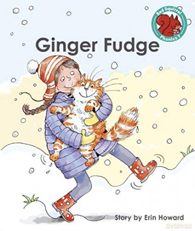 Ginger Fudge (Red Squirrel Phonics Level 7) - Erin Howard [KSIĄŻKA]