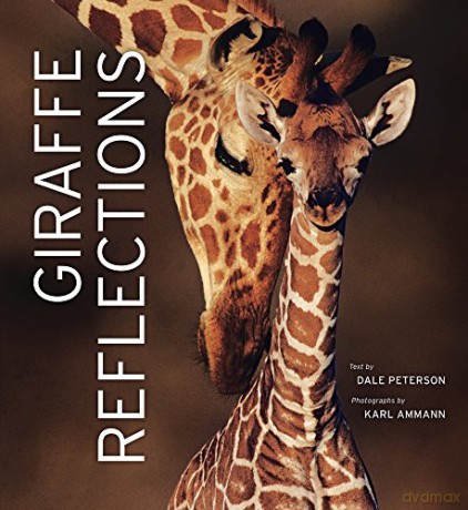 Giraffe Reflections - Dale Peterson [KSIĄŻKA]