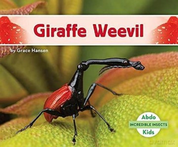 Giraffe Weevil (Incredible Insects) - Grace Hansen [KSIĄŻKA]