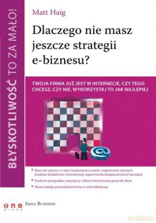 Błyskotliwość to za mało! Dlaczego nie masz jeszcze strategii e-biznesu? [KSIĄŻKA]