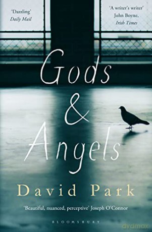 Gods and Angels: David Park - David Park [KSIĄŻKA]