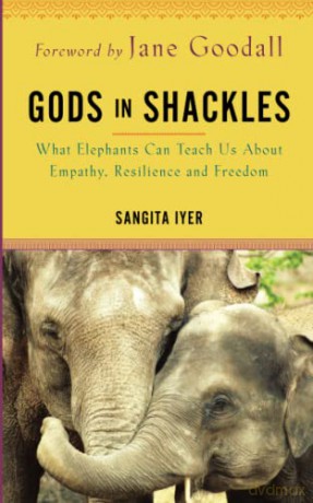 Gods in Shackles: What Elephants Can Teach Us About Empathy, Resilience and Freedom - Sangita Iyer [KSIĄŻKA]