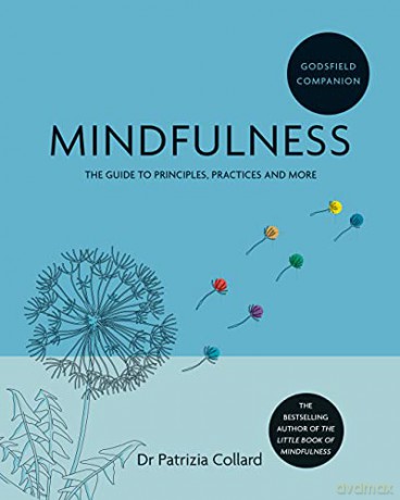 Godsfield Companion: Mindfulness: The guide to principles, practices and more - Dr Patrizia Collard [KSIĄŻKA]