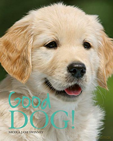 Good Dog! - Nicola Swinney [KSIĄŻKA]