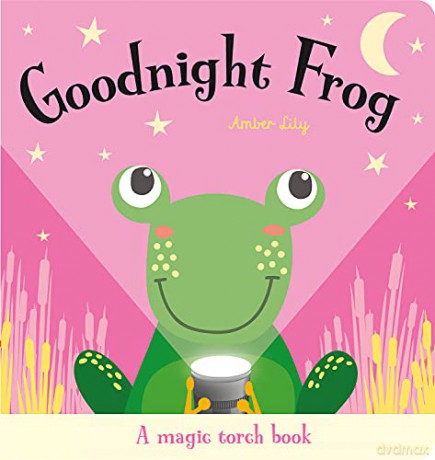 Goodnight Frog (Magic Torch Books) - Imagine That [KSIĄŻKA]