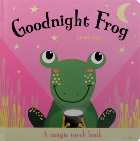 Goodnight Frog (Magic Torch Books) - Imagine That [KSIĄŻKA]