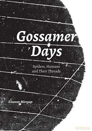 Gossamer Days: Spiders, Humans and Their Threads (Strange Attractor Press) - Eleanor Morgan [KSIĄŻKA]