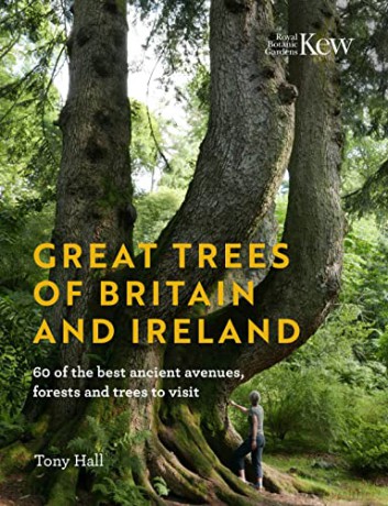 Great Trees of Britain and Ireland: Over 70 of the best ancient avenues, forests and trees to visit - Tony Hall [KSIĄŻKA]