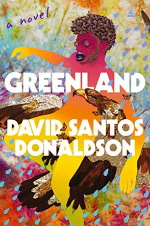 Greenland: A Novel - David Santos Donaldson [KSIĄŻKA]