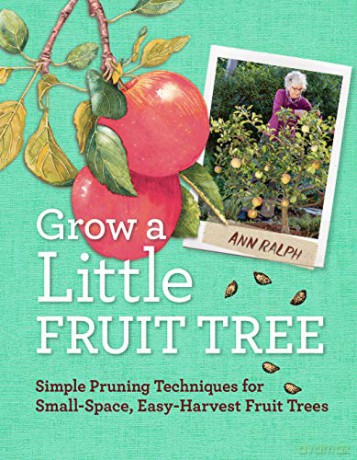Grow a Little Fruit Tree: Simple Pruning Techniques for Small-Space, Easy-Harvest Fruit Trees - Ann Ralph [KSIĄŻKA]
