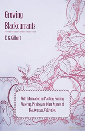 Growing Blackcurrants - With Information on Planting, Pruning, Watering, Picking and Other Aspects of Blackcurrant Cultivation - E. G. Gilbert [KSIĄŻKA]