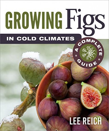 Growing Figs in Cold Climates: A Complete Guide - Lee Reich [KSIĄŻKA]