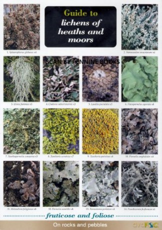 Guide to Lichens of Heaths and Moors - Frank Dobson [KSIĄŻKA]