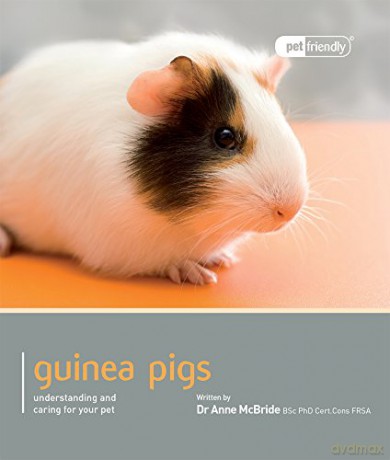 Guinea Pig - Pet Friendly: Understanding and Caring for Your Pet - Anne McBride [KSIĄŻKA]