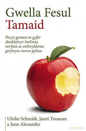 Gwella Fesul Tamaid: Pecyn goroesi ar gyfer dioddefwyr bwlimia nerfosa ac anhwylderau gorfwyta mewn pyliau - Ulrike Schmidt [KSIĄŻKA]