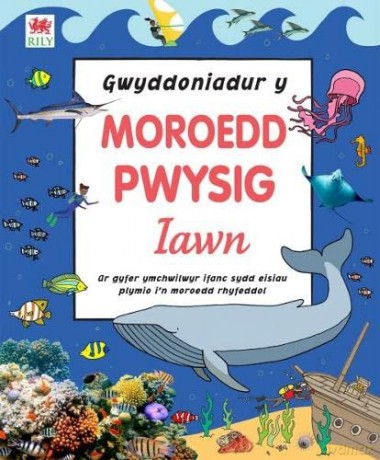 Gwyddoniadur y Moroedd Pwysig Iawn - dk [KSIĄŻKA]