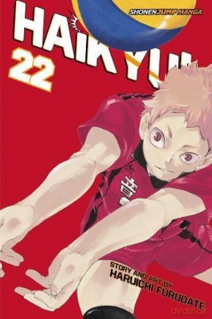 Haikyu!!, Vol. 22: Land vs. Air: Volume 22 - Haruichi Furudate [KSIĄŻKA]