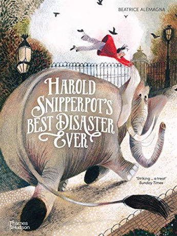 Harold Snipperpot's Best Disaster Ever - Beatrice Alemagna [KSIĄŻKA]