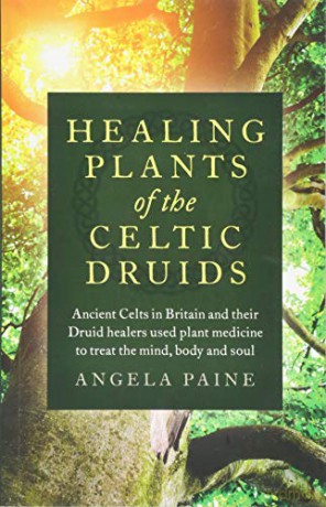 Healing Plants of the Celtic Druids: Ancient Celts in Britain and their Druid healers used plant medicine to treat the mind, body and soul - Angela Paine [KSIĄŻKA]