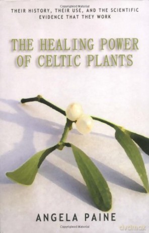 Healing Power of Celtic Plants: Healing Herbs of the Ancient Celts and Their Druid Medicine Men - Angela Paine [KSIĄŻKA]