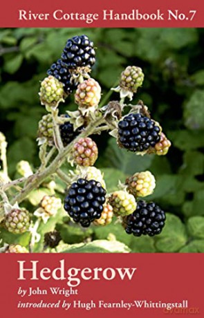 Hedgerow (River Cottage Handbook, No.7) - John Wright [KSIĄŻKA]