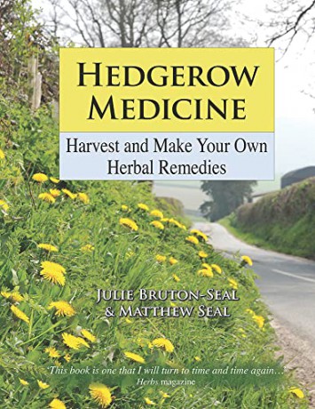 Hedgerow Medicine: Harvest and Make your own Herbal Remedies - Julie Bruton-Seal [KSIĄŻKA]
