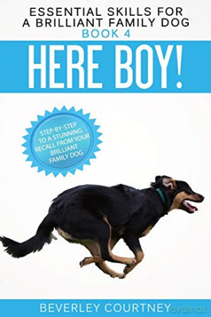 Here Boy!: Step-by-Step to a Stunning Recall from your Brilliant Family Dog (4) (Essential Skills for a Brilliant Family Dog) - Beverley Courtney [KSIĄŻKA]