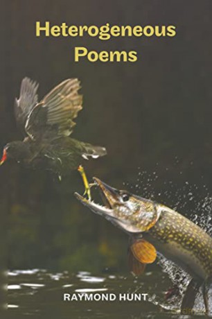 Heterogeneous Poems - Raymond Hunt [KSIĄŻKA]