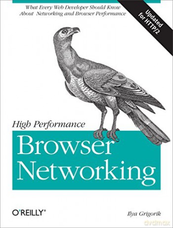 High Performance Browser Networking: What every web developer should know about networking and web performance: What Every Web Developer Should Know About Networking and Browser Performance - Ilya Grigorik [KSIĄŻKA]