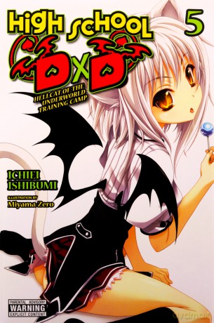 High School DxD, Vol. 5 (light novel): Hellcat of the Underworld Training Camp (High School DXD (Light Novel)) - Ichiei Ishibumi [KSIĄŻKA]