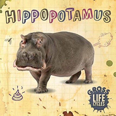 Hippopotamus (Gross Life Cycles) - William Anthony [KSIĄŻKA]