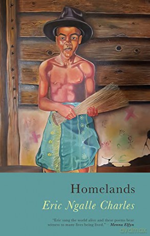 Homelands - Eric Ngalle Charles [KSIĄŻKA]
