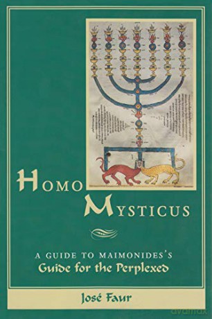 Homo Mysticus: Guide to Maimonides's "Guide of the Perplexed": A Guide to Maimonides's Guide for the Perplexed - Joseph Faur [KSIĄŻKA]