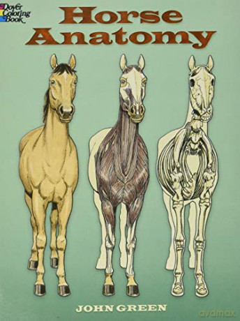 Horse Anatomy Coloring Book (Dover Nature Coloring Book) - John Green [KSIĄŻKA]