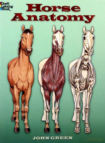 Horse Anatomy Coloring Book (Dover Nature Coloring Book) - John Green [KSIĄŻKA]