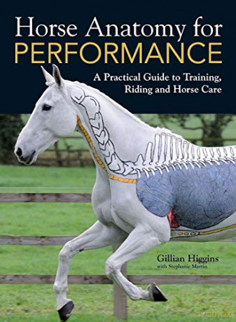 Horse Anatomy for Performance - Gillian Higgins [KSIĄŻKA]