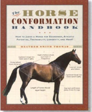 Horse Conformation Handbook - Heather Smith Thomas [KSIĄŻKA]