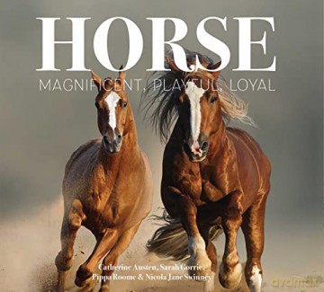 Horse: Magnificent, Playful, Loyal (Best Kept Secrets) - Nicola Jane Swinney [KSIĄŻKA]
