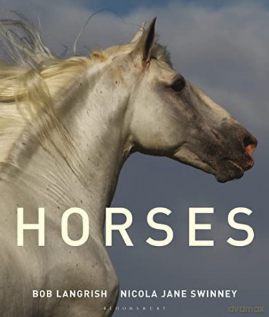 Horses - Nicola Jane Swinney [KSIĄŻKA]