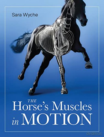 Horse's Muscles in Motion - Sara Wyche [KSIĄŻKA]